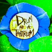 Wildfire - Drum and a Tantrum