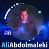 Ali Abdolmaleki - Greatest Hits, 2018