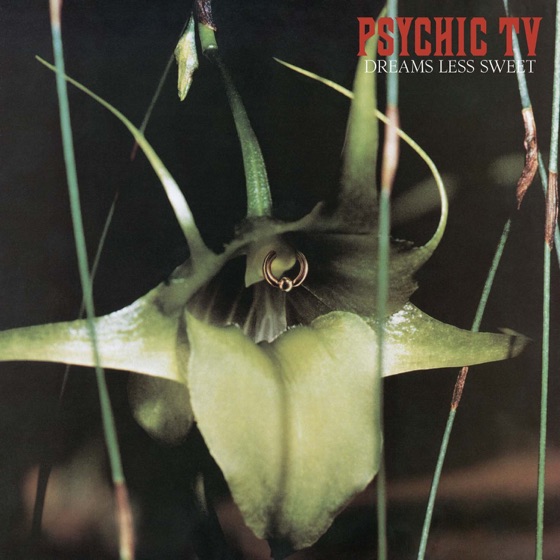 Cover artwork for The Orchids