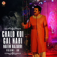 Naeem Hazarvi - Chalo Koi Gal Nahi, Vol. 86 artwork