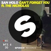 Can't Forget You (feat. The Nicholas) artwork