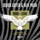 Zebra (Einmusik Remix) artwork