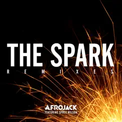 The Spark (feat. Spree Wilson) [Tiësto vs twoloud Remix] Song Lyrics