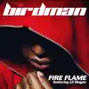 Fire Flame (feat. Lil Wayne) [feat. Lil Wayne] song lyrics