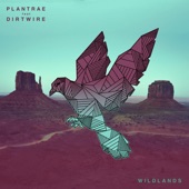 Plantrae - Wildlands (feat. Dirtwire)