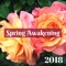 Spring Awakening - Spring Awakening lyrics