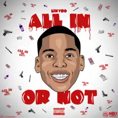All in or Not by Likybo album reviews, ratings, credits