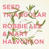Robbie Lee & Mary Halvorson - The Tawny Orange