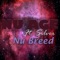 Nu Breed (feat. Silver) - Nu Age lyrics