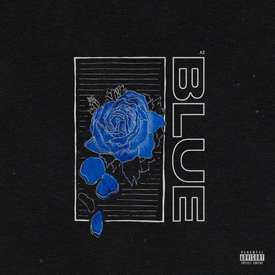 Cover artwork for Marble Flaws