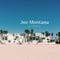 Joe Montana - Joe Montana lyrics