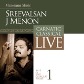 Best of Live Concert Series - Sreevalsan J. Menon artwork
