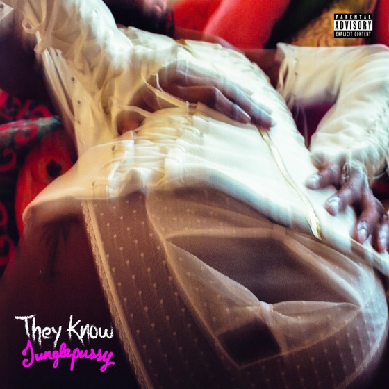 Cover artwork for They Know