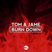 Burn Down (Extended Mix) artwork
