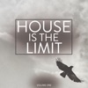 House Is the Limit, Vol.1