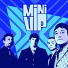 MiniVip