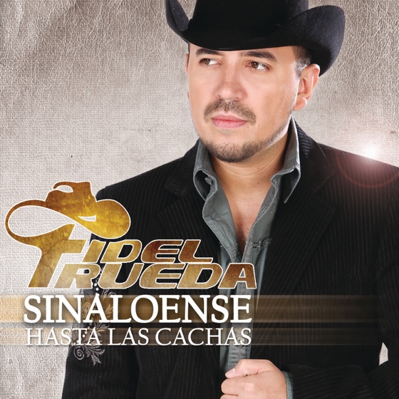 Cover artwork for Vacíando Botellas