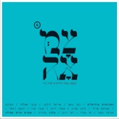 שיבנה בית המקדש artwork