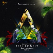 Feel Lonely (Nato Medrado Extended Remix) artwork