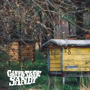 baixar álbum Gaffa Tape Sandy - Beehive