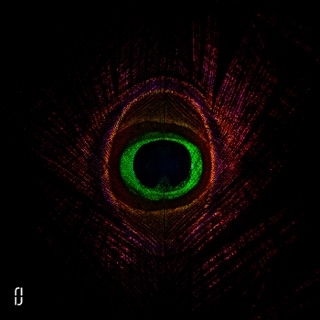 glue70 on apple music