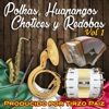 Polkas, Huapangos, Chotices y Redobas, Vol. 1