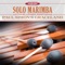 Under African Skies (feat. Arthur Lipner) - Solo Sounds lyrics