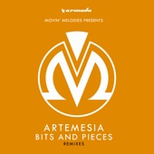 Bits and Pieces (Tony De Vit Mix) artwork
