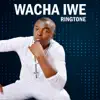 Wacha Iwe (feat. Gloria Muliro) - Single album lyrics, reviews, download