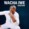 Wacha Iwe (feat. Gloria Muliro) - Single
