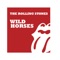 Wild Horses (Live) [Remastered 2009] artwork