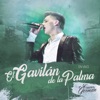 El Gavilán de la Palma (En Vivo) - Single