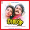 Maliniyude Theerangal - M. G. Sreekumar & Sujatha lyrics