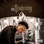 Testimony (Deluxe Version) artwork