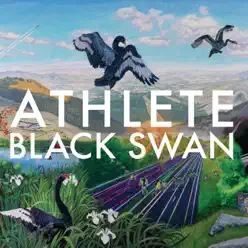 Black Swan - Athlete