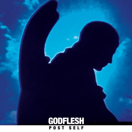 Cover artwork for No Body