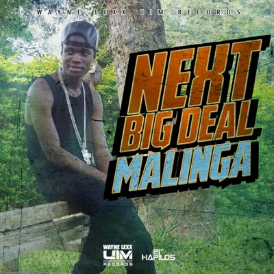 Next Big Deal (Radio Edit) - Malinga | Shazam