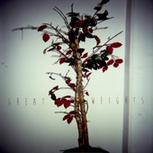 Great Weights - Wide Awake