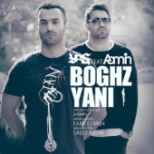 Boghz Yani (feat. Aamin) artwork