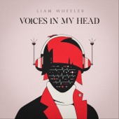 Voices in My Head artwork