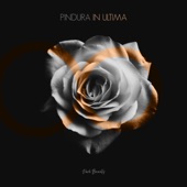 In Ultima (EDINA Remix) artwork