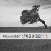 Sparse Intensity, Vol. 3 artwork