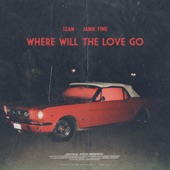 Where Will the Love Go (feat. Jamie Fine) artwork