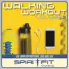 Walking Workout Vol 3 album lyrics, reviews, download