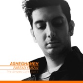 The Singles Collection: Asheghaneh artwork