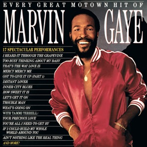 Marvin Gaye & Tammi Terrell - Ain't Nothing Like the Real Thing - Line Dance Music