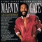 If I Could Build My Whole World Around You - Marvin Gaye & Tammi Terrell lyrics
