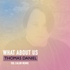 What About Us (Sol Calor Remix) - Single, 2017