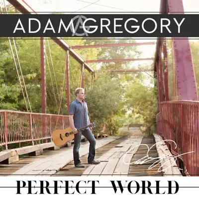Perfect World - Adam Gregory