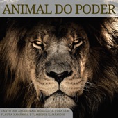 Animal do Poder: Canto dos Ancestrais, Músicas de Cura com Flauta Xamânica e Tambores Xamânicos artwork